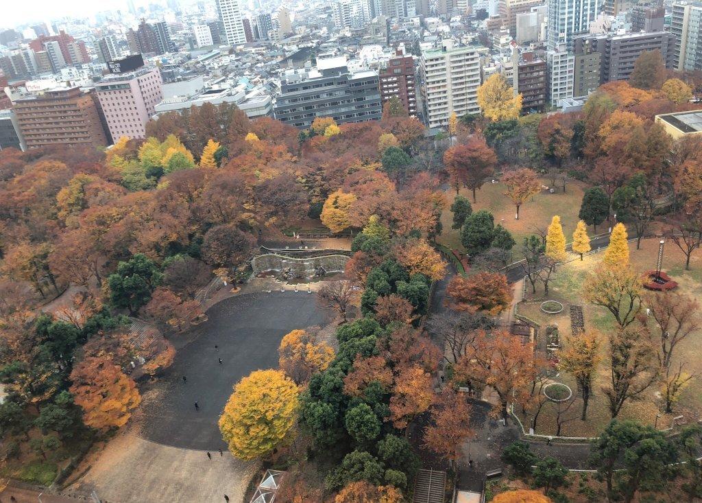 新宿中央公园的照片