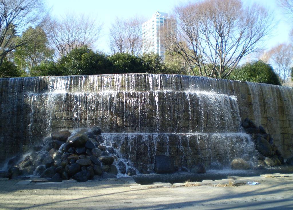 新宿中央公园的照片