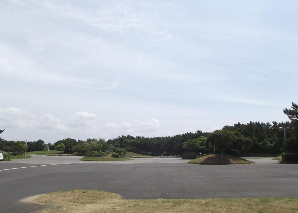 Makuhari Kaihin Park Makuhari Kaihin Park的攻略 点评 交通 问答 十六番 十六番