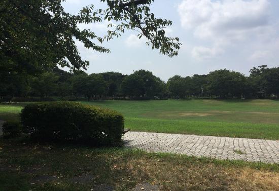 亚洲 日本 东京都 梦之岛公园 梦之岛公园的照片              第9张