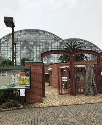 梦之岛热带植物室的照片