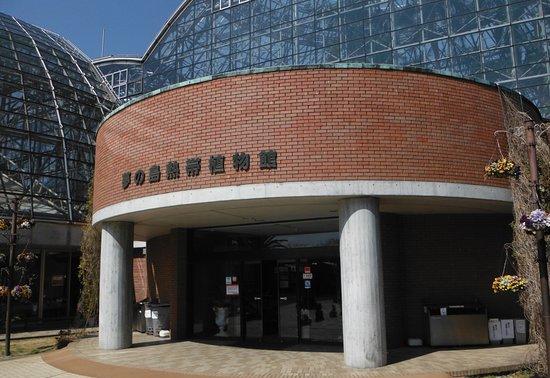 梦之岛热带植物室的照片