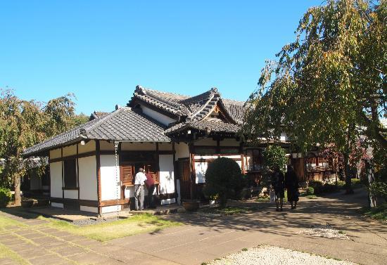 亚洲 日本 东京都 谷中 谷中的照片              第19张/共20张