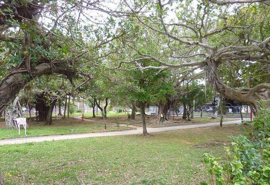 与仪公园的照片