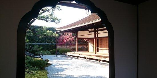 瑞峰院庭园的照片