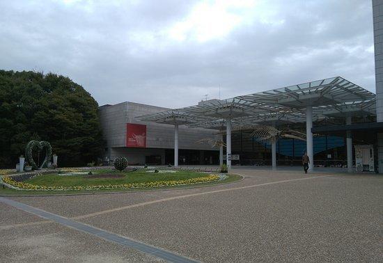 大阪市立自然史博物馆图片